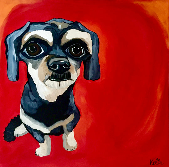 Book Your Custom Pet Commission