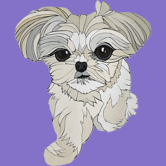 Book Your Custom Pet Commission